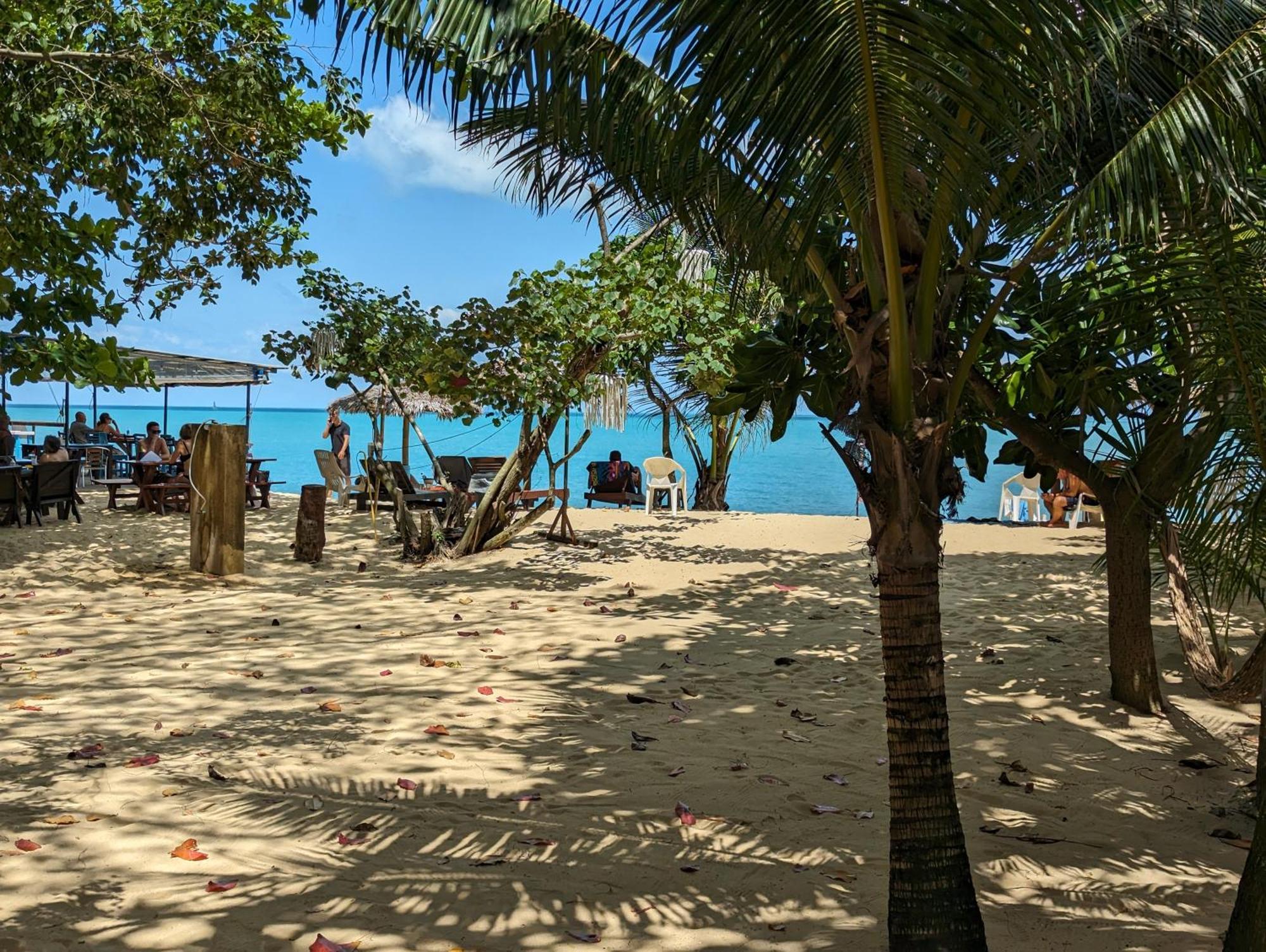 Moonhut Bungalows Mae Nam Beach Eksteriør billede